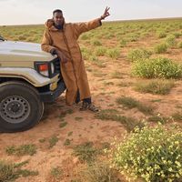 الصوت الأصلي