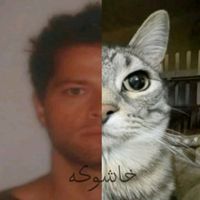 a.u_x