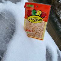 オリジナル楽曲 - なひまやひ