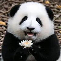 original sound - trendzvuk