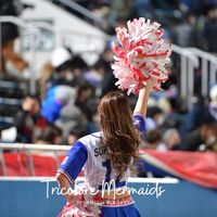 yfm_tricoloremermaids