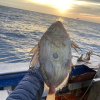 ahmed_boumediene