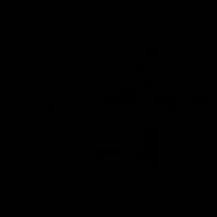 ottoniel_x01