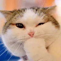 original sound - pets_llover