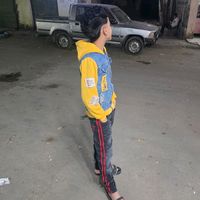 الصوت الأصلي