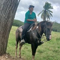 rodriguezrodriguez791