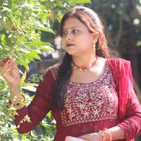 sanjanasah392