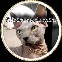 оригинальный звук