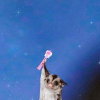 オリジナル楽曲 - いちごしぇいく。