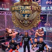 wrestling.toyz.cam