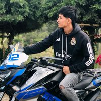 pulsarns504