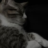 moe.xe4