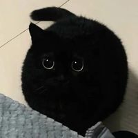 nhạc nền - Con cua hình bát giác