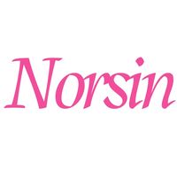 norsin.2022