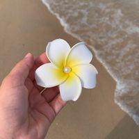 bou_bou270