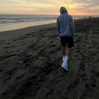 jax_v19