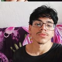 nogueir4d