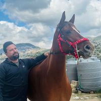 husseinhattab1