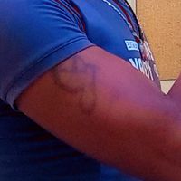 original sound - የማይበላ ወፍ