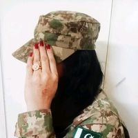 armyno15