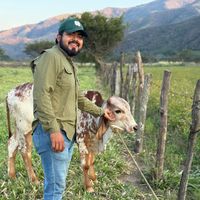 sergio_020300