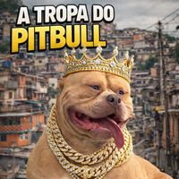 igorcorreacmk_oficial3