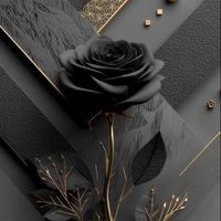 original sound - Blackrosezzzzz🌹