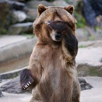 оригинальный звук