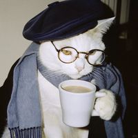 الصوت الأصلي