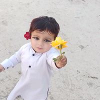 wafajii