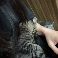 nhạc nền - Bunny