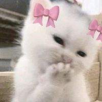 suara asli - Aisyah Ramadani