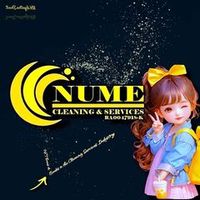 nume.cleaning