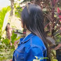 hamna_610
