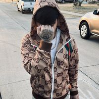 belico_817