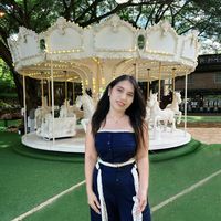 nanow_phenrung