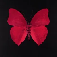 original sound - rasshid.x