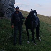 elvin.mamedov56