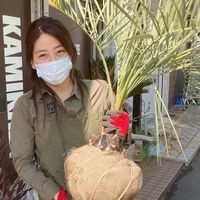 mami.plantsitter