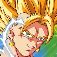 superflow2.0