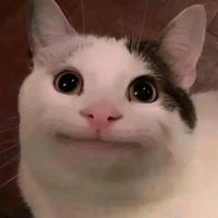 original sound - Yuuki Official 🇵🇭