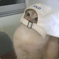 23_7_mo