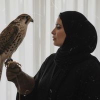 sahebat_alsaaada