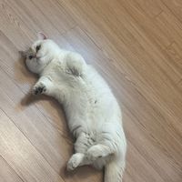 miel_0630
