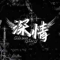 shenqing6666