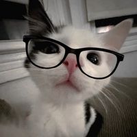 amyyy_mwah