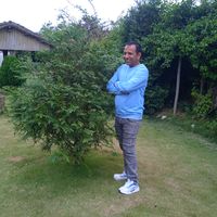 harisubedi27