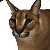 original sound - Mateo