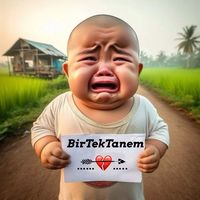 birtektanem