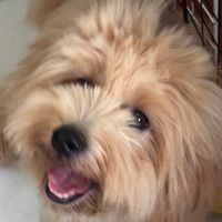 original sound - sky♊️